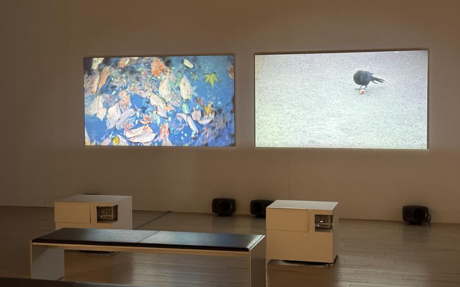 Two screens showing videos and a bench in front of them at Tokyo Photographic Art Museum.